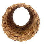 Rosewood Hyazinthentunnel