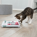 Trixie Katze Aktivität Gehirn Beweger Strategie Spiel