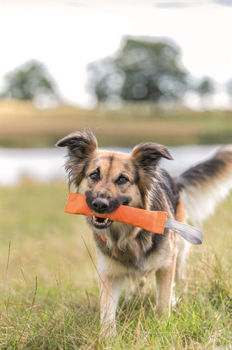 Trixie-Sport-Trainingspuppe Sortiert