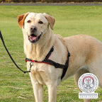Trixie Hundegeschirr Lead'n'walk Soft Schwarz