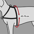 Trixie Hundegeschirr Lead'n'walk Soft Schwarz