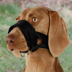 Trixie Mündung Nylon Schwarz