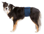 Trixie Pee Collar Für Männer Mesh Dunkelblau