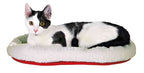 Trixie Rund Wolle Weiss / Rot
