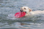 Trixie Hundescheibe Schwimmend Tpr Sortiert