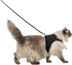 Trixie Softgeschirr Katze Mit Leine Schwarz