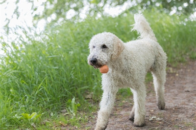 Trixie Be Eco Ball Floating Tpe Assorti