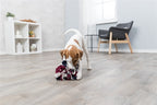 Trixie Hund Aktivität Schnüffelball