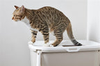 Savic Katzentoilette Hop In Weiss / Mokka