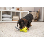 Trixie Snack Glocke Auf Gurtband Schwimmend Tpr / Polyester Sortiert
