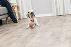 Trixie Hund Latex Sortiert