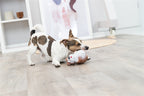 Trixie Hund Latex Sortiert