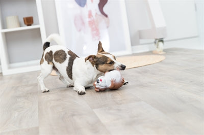 Trixie Hund Latex Sortiert