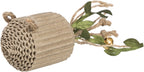 Trixie Karton / Hanf Beige