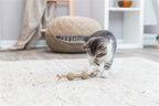 Trixie Halfter Karton / Hanf Beige
