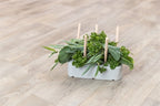 Trixie Keramik/Holz Grau