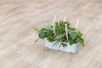 Trixie Keramik/Holz Grau