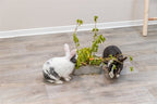 Trixie Keramik/Holz Grau