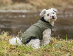 Trixie Hundemantel Arlay Dunkelgrün