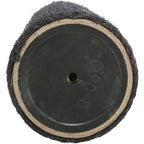 Trixie Für Kratzbaum 44425 Schwarz