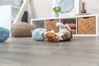 Trixie Plüschbär Mintgrün Für Welpe