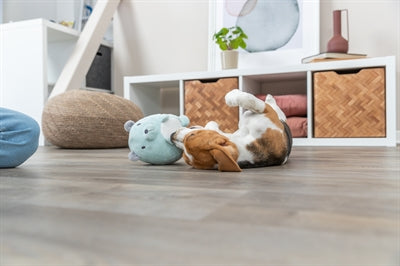 Trixie Plüschbär Mintgrün Für Welpe