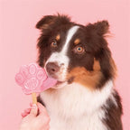 Smoofl Für Hunde Wassermelone