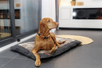 Trixie Be Nordic Hundekissen Fohr Eckig Schwarz / Sand