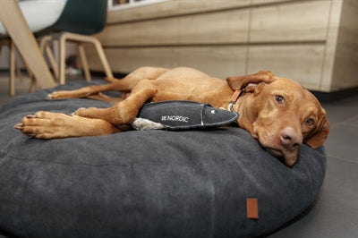 Trixie Be Nordic Hund Spielzeug Scholle Hajo Stoff / Plüsch