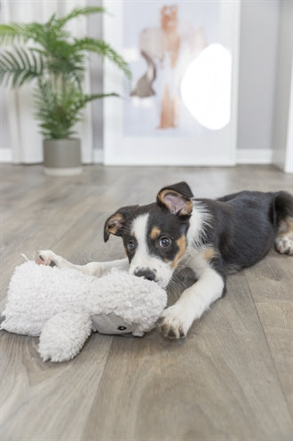Trixie Be Eco Hundespielzeug Pinguin Plüsch Recycelt