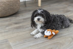 Trixie Hunde Spielzeug Hirsch Plüsch