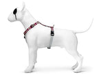 Morso Hundegeschirr H-Leine Recycelt Skyline Rot/Rosa