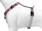 Morso Hundegeschirr H-Leine Recycelt Skyline Rot/Rosa