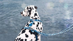 Morso Hundeleine Verstellbar Recycelt Splash Blau