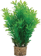 Zolux Ornament Pastic Pflanze Auf Steinen Neutral Sortiert