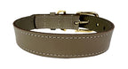 Sazzz Hundehalsband Braveheart Classic Leder Taupe