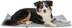 Trixie Hundedecke Reisedecke Amy Grey