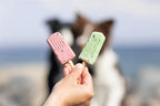 Trixie Ice Pop Rot