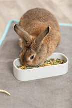 Trixie Futter-/Trinkschale Oval Keramik Sortiert