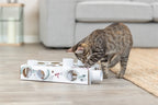 Trixie Katze Aktivität Paws'n'treats Box Karton