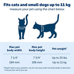 Petsafe Katzenklappe Big Cat 2.0 Flap
