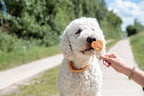 Trixie Premio Lollipop Mit Huhn Und Reis