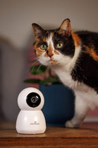 Numaxes Eyenimal Pet Vision Live Hd Kamera Ohne Geräuscherkennung