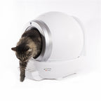 Martin Automatische Katzentoilette Weiss