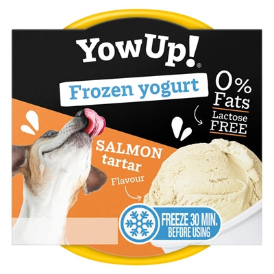Yowup! Gefrorener Joghurt Mit Lachstartar