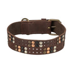 Trixie Hundehalsband Niete Rustikal Spitze Leder Dunkelbraun