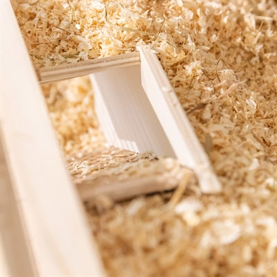 Trixie Beobachtungskasten Maus / Hamster Mit Tunnel Unbehandeltem Holz