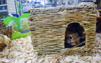 Nature First Glückliches Haustier Gras-Versteck