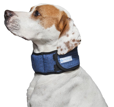 Aqua Coolkeeper Zzz Kragen Aqua Coolkeeper Pazifikblau